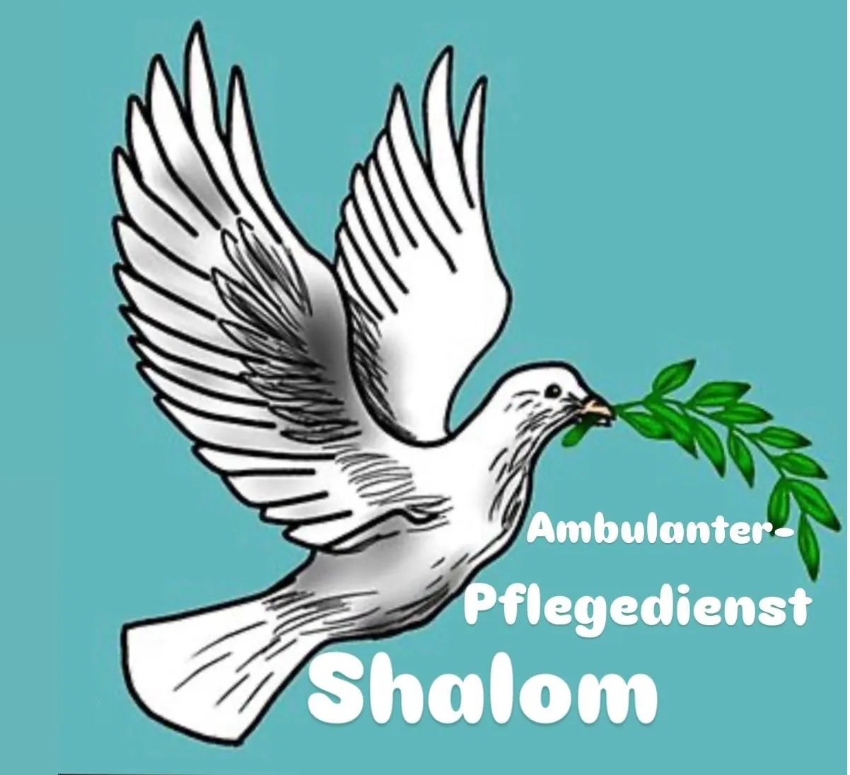 AmbulanterPflegedienstdienst Shalom