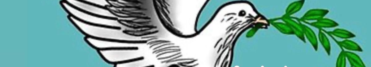 AmbulanterPflegedienstdienst Shalom