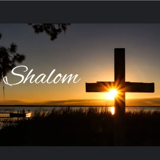 AmbulanterPflegedienstdienst Shalom