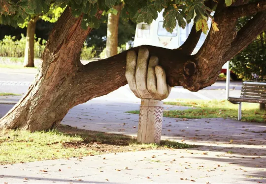 AmbulanterPflegedienstdienst Shalom